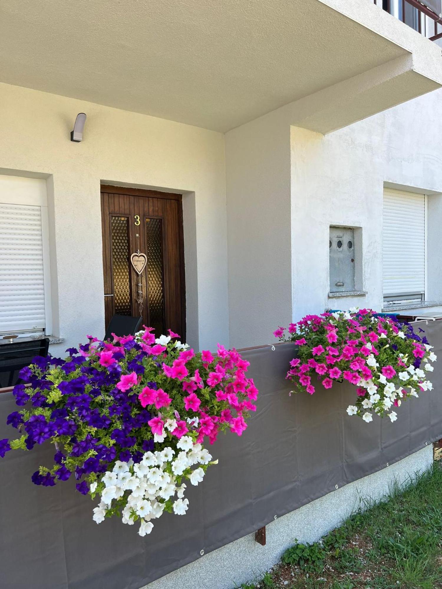 אומאג 3Level Apartments Kroatien מראה חיצוני תמונה